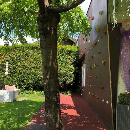 Apartment Laerchenstube 미에더스 외부 사진